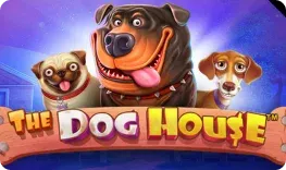 Oshi – The Dog House